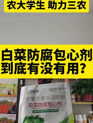 老乡们一定要看清楚这个白菜防腐包心剂到底有没有用,怎么用#白菜防腐包心剂#抖音助农#种植技术#农业种植#白菜种植