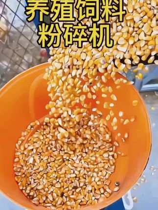 玉米粉碎机养殖专用喂鸡鸭鹅牛羊猪新型三农产品五谷干料粉碎机#服务三农支持三农 #玉米粉碎机#养殖专用喂鸡鸭鹅牛羊猪#新型三农产品五谷干料粉碎机#强烈推荐