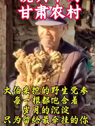 大伯采挖的野生党参#三农 #宣传正能量 #野生党参 #宣传正能量 #农民不易