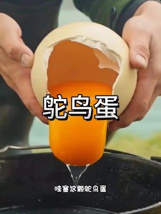 中秋送礼三斤新鲜鸵鸟蛋大号蛋节礼营养丰富散养包邮到家破损包赔 #好物推荐 #热门推荐 #爆款