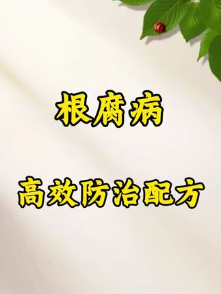 #农业种植 #三农 #农业 #三农种植 #农技知识