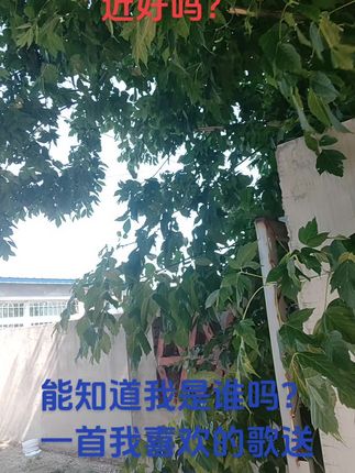 #远方的老朋友,最近好吗?能听出我是谁吗?我把一首歌送给你#