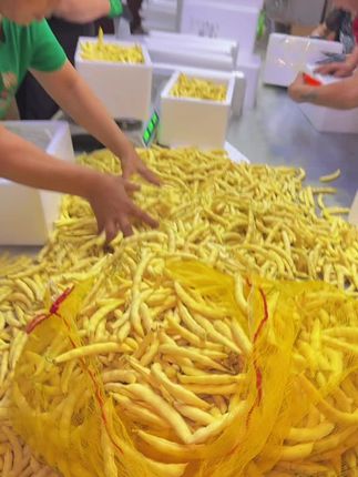 #品质嘎嘎的#东北黄金沟