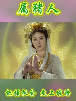 #生肖猪#属猪#71年的猪#83年的猪#95年的猪