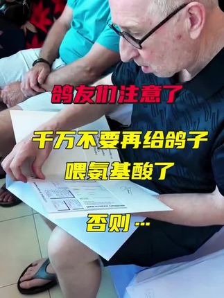 鸽友们千万不要给鸽子喂氨基酸了!#冯氏赛鸽 #养鸽人 #信鸽赛鸽 #萌宠出道计划 #赛鸽比赛