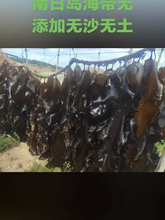 #南日岛海带 #营养丰富 #特色农产品 #家乡特产