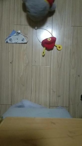 #王小鲨手偶#马上过年了。 #财神衣