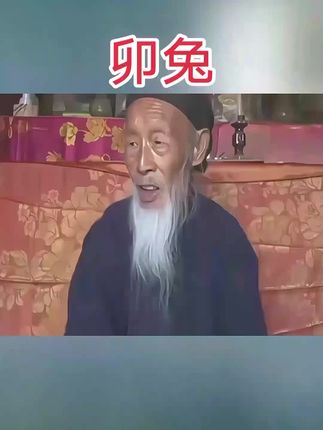 #兔#属兔#生肖兔