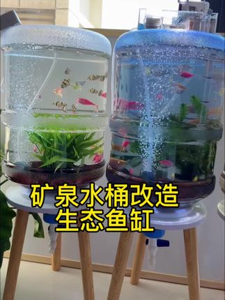 #养鱼 鱼有个特别的广告语:“鱼你有缘,幸福相伴”春风十里,不如“鱼你在一起”