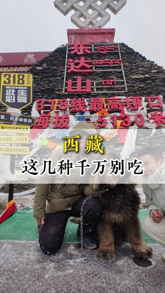 这几种动物千万不能吃 #西藏旅游的注意事项有哪些 #西藏动物 #西藏旅游风景 #西藏旅游攻略 #西藏景点推荐