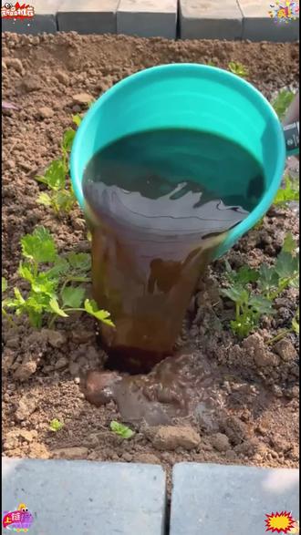 【天然有机】花肥谷新一代有机菌肥生物发酵豆粕肥有机种菜养花通用#花肥#有机菌肥#发酵豆粕有机肥 #豆粕肥#养花种菜