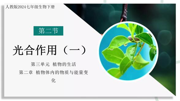 人教版生物七年级下册3.2.2 光合作用(第1课时)PPT,获取方法看主页或置顶#光合作用 #人教版生物