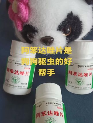 #狗#狗狗#养狗经验分享 #狗子成精了 #科学养宠攻略