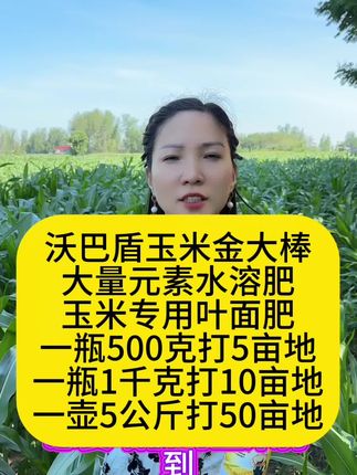 沃巴盾玉米金大棒,大量元素水溶肥,玉米专用叶面肥,一瓶500克打5亩地,一瓶1千克打10亩地,一壶5公斤打50亩地#沃巴盾玉米金大棒 #玉米金大棒 #玉米金大棒叶面肥 #玉米金大棒水溶肥 #三农