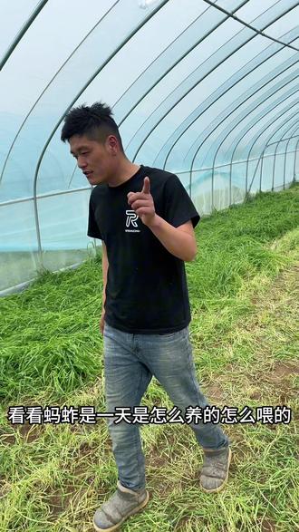 #三农 #乡村生活 #干活我是认真的 #养蚂蚱 身上没有千金担,谁愿意干活吧,