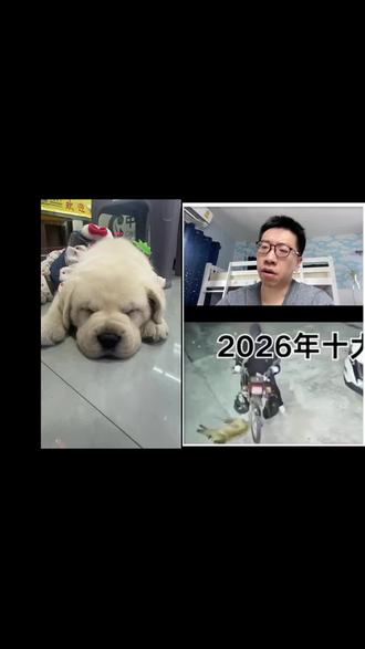 和 @刘铁雕Rose 一起 #合拍
十大风口🤣🤣刑不刑🫡🫡
#搞笑