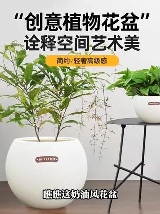 大号奶油风超大花盆