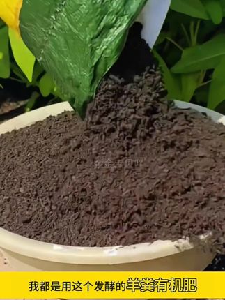 在学校坚决不能碰的4个底线,有孩子的父母一定要告诉孩子#家长必读 #亲子教育 #宝妈 #家里有孩子的一定要看完