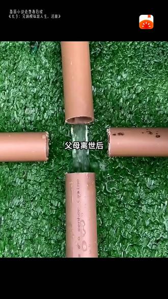 番茄小说免费看后续gxfc1 #长子兄妹模拟我人生泪崩 #zyh #文荒必看 #都市小说 #推文日常