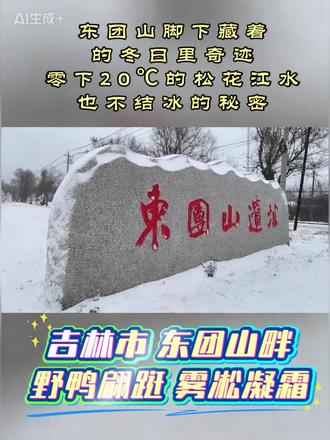 东团山畔藏着吉林冬日的终极浪漫 #在零下10-20℃的江城,东团山脚下的松花江藏着不冻的秘密!
滔滔江水之上,野鸭翩跹觅食,岸边雾凇凝霜成玉树琼花,这抹限定美景太惊艳。造就了松花江上蔓延30多公里的江畔冬日奇观,也让千年历史的东团山,多了份自然与人文交织的温柔。 #吉林雾凇 #松花江不冻江 #东团山秘境 #江城吉林
