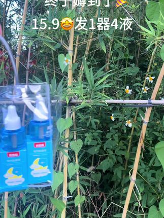 贝因美电蚊香液,安全无味,无避蚊胺。#电热蚊香液#蚊香液 #电蚊香液 #贝因美电蚊香液