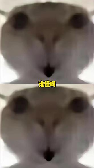 布洛芬:一会进去挨个问谁疼 #布洛芬 #万万想不到