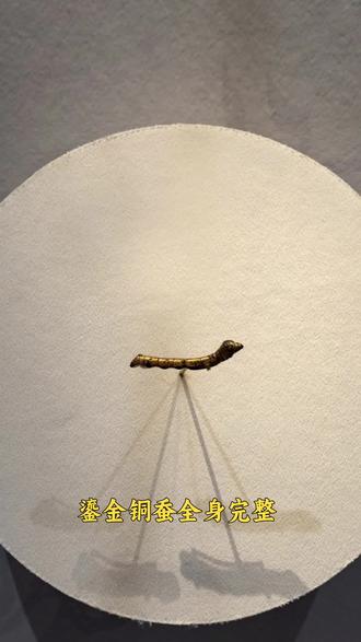 #陕西历史博物馆 丝绸之路的见证,鎏金铜蚕