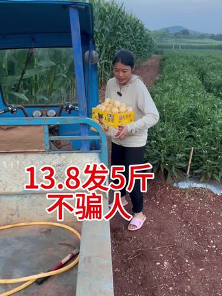 #人参果