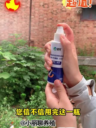 #养猪 #养猪人不容易 #母猪 #仔猪