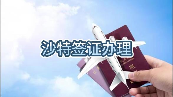 沙特签证,很简单,进来抄作业! #签证 #沙特阿拉伯签证 #签证小知识