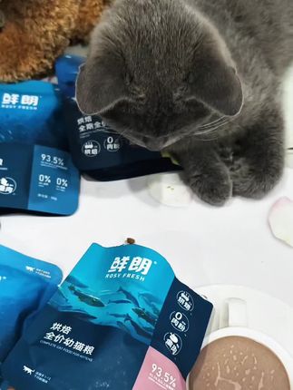养宠们赶紧薅,鲜朗试吃大羊毛。#猫零食 #萌宠好物 #强烈推荐 #猫粮 #鲜朗猫粮