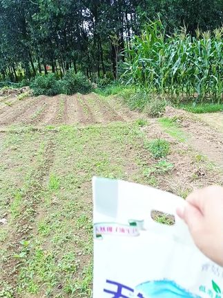 #创作者灵感 #洗衣粉 #生活必备 #洗涤用品 #好物分享
