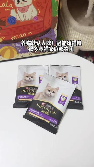 冠能幼猫粮来活动啦~个位数就能尝鲜#新手养猫 #猫粮 #冠能猫粮 #养猫人 #萌宠好物