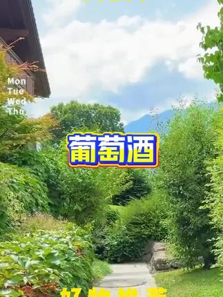 #葡萄酒#干红葡萄酒#智利葡萄酒