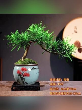 罗汉松风水招财小叶雀舌悬崖飘枝盆景办公室内客厅绿植花卉造型树#绿植