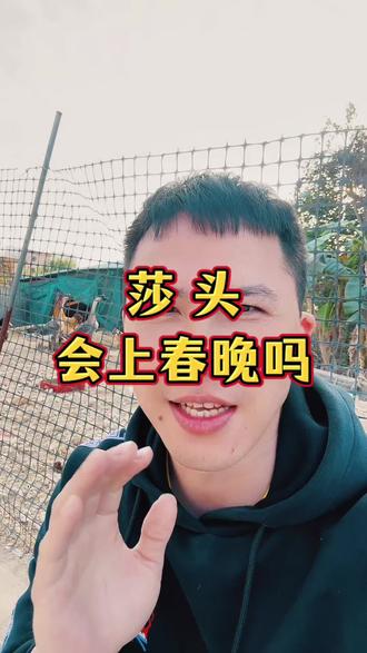 莎头会上春晚吗?#孙颖莎 #王楚钦 #小强一点红