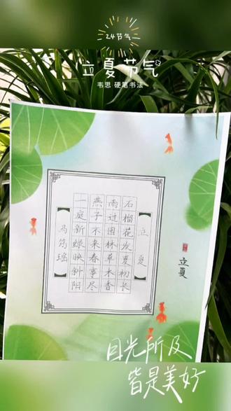 #立夏 #泰州韦思艺术 #高港韦思艺术 【韦思·硬笔班】二年级小学员,🌳立夏初至,笔墨生香,✍🏻一笔一画间,邂逅初夏的诗意📸