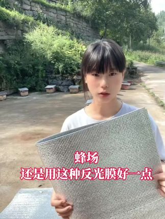#反光膜 #蜜蜂养殖 #中蜂养殖 #农村养蜂人