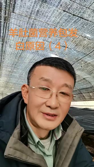 羊肚菌营养包没有长满出菇原因 土壤富含有机肥及营养包用量过大,有些羊肚菌品种形成菌丝能力弱,导致营养包营养不能够完全转化#羊肚菌 #羊肚菌种植 #食用菌产业 #我的乡村生活