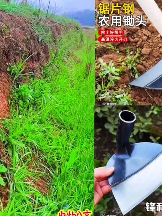 【锰钢加厚】锰钢挖地草锄农用长柄锄草利器锄地除草锄头适用#爆款热卖中 #厂家直销