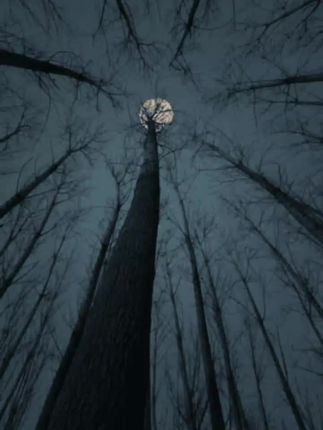 #生命感悟 #生命的价值