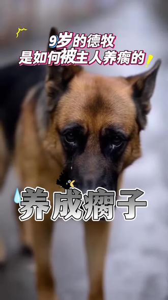 糟糕的饮食,把它养成残疾!!💢💢