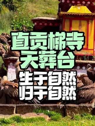 有些画面只要看过一眼 这辈子都不会忘掉|直贡梯寺天葬台 #天葬 #藏传文化 #自驾西藏 #直贡梯寺 #旅行推荐官