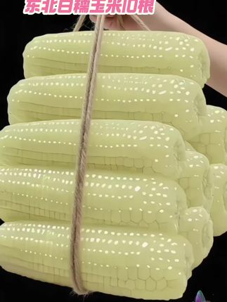 尝鲜东北白糯玉米,10根装超值来袭!🛒   精选东北优质白糯玉米品种,在肥沃黑土地与充足日照的滋养下,成就非凡品质。每一根玉米都饱满紧实,白糯的玉米粒排列整齐,像是被精心雕琢的艺术品。   蒸煮后,玉米香扑鼻而来,口感软糯Q弹,带着自然的清甜,越嚼越香,让人欲罢不能。无论是作为早餐开启活力一天,还是当作健康粗粮晚餐,都再合适不过。10根大份量,全家共享超满足,赶紧下单把这份来自东北的美味带回家吧!🎉 #东北白糯玉米 #10根装 #粗粮健康 #糯玉米 #玉米