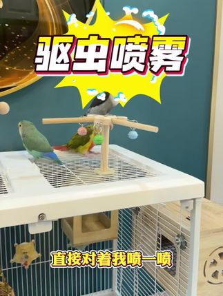 养鸟不驱虫,到头一场空#鹦鹉驱虫 #鹦鹉驱虫喷雾