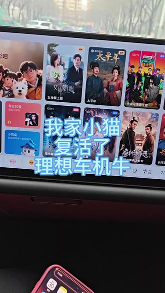 理想车机把我家小猫复活了!#理想汽车 #我在抖音聊汽车 #宠物成精了 #小猫 #理想艺术相框