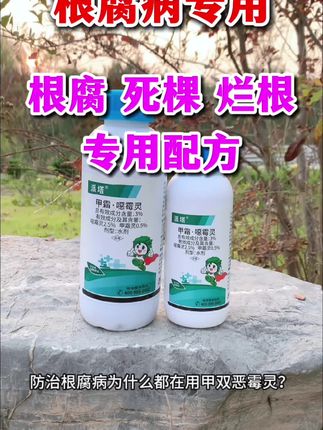 根腐烂根专用杀虫剂,甲霜恶霉灵 #杀菌剂#甲霜恶霉灵#根腐病#根腐烂根 #死棵烂苗