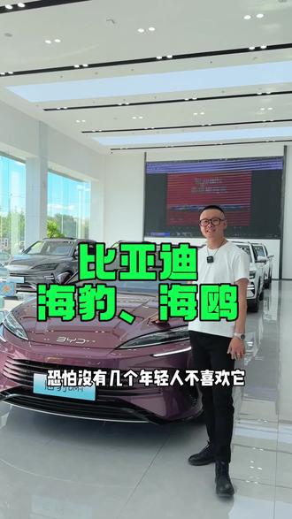来看车啦,今天比亚迪海鸥、海豹听名字就很想亲眼看看了。#赤峰迪隆汽车销售有限公司 #懂车更懂你 #新能源汽车 #我与汽车的日常 #赤峰说车