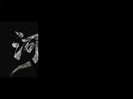 “我愿意用我下辈子投胎的机会和上天交换”
“一换世间昌平 再无毒”
“二换海晏河清 不复见”
#河清海晏时和岁丰 #唐河清#周海宴