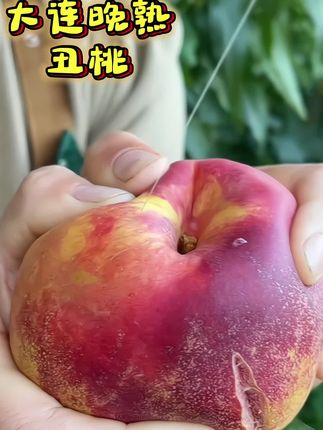 #新鲜水果 #优质农产品 #家乡美食 桃香浓郁、香甜多汁大丑桃。